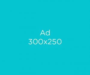 300x250
