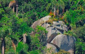 Cachoeira do Bom Jesús