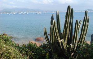 Ponta das Canas
