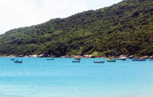 Ponta das Canas