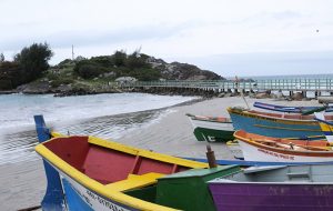 Armaçao