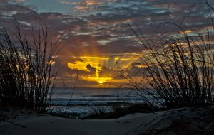 Praia do Campeche