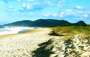Praia do Campeche