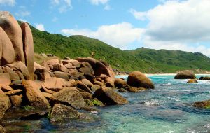 Praia Mole