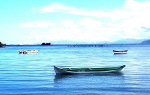 Ribeirão da Ilha